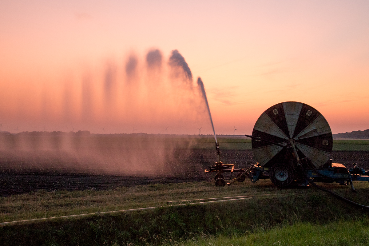 Agrariërs mogen percelen weer onder water zetten Agrariërs mogen percelen weer onder water zetten