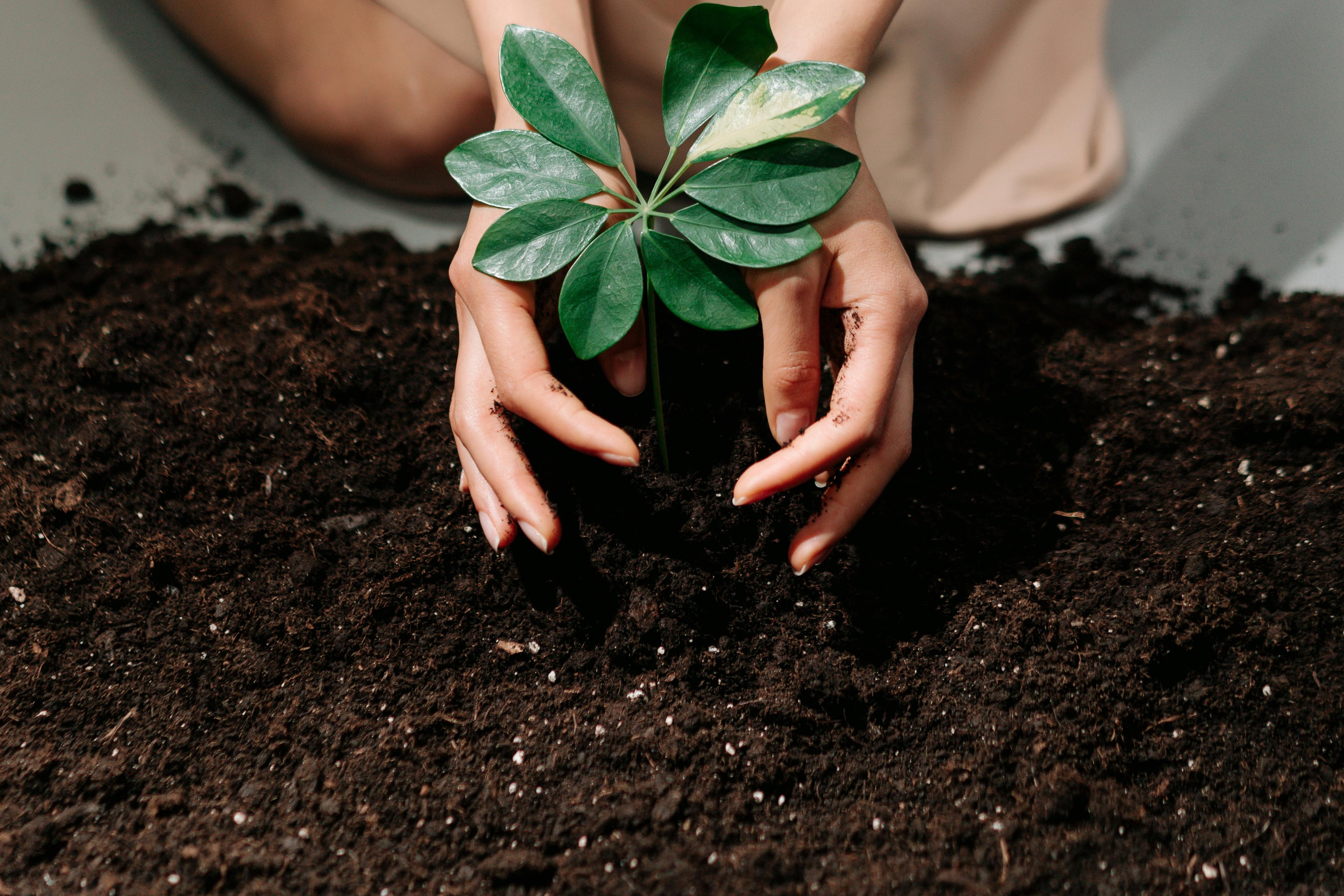 Maris Sonores start potgrondactie: zaterdag 7 maart langs de deuren