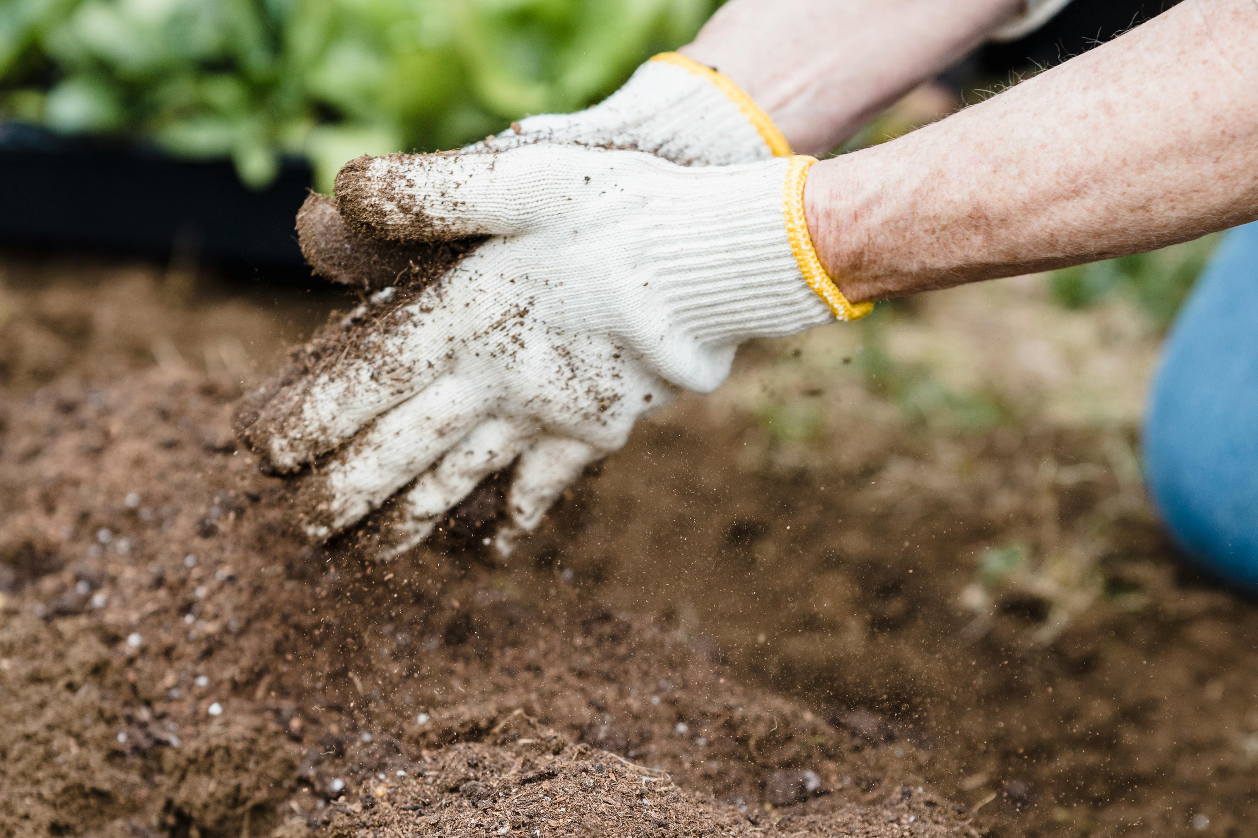 Gemeente deelt gratis compost uit aan inwoners Gemeente deelt gratis compost uit aan inwoners
