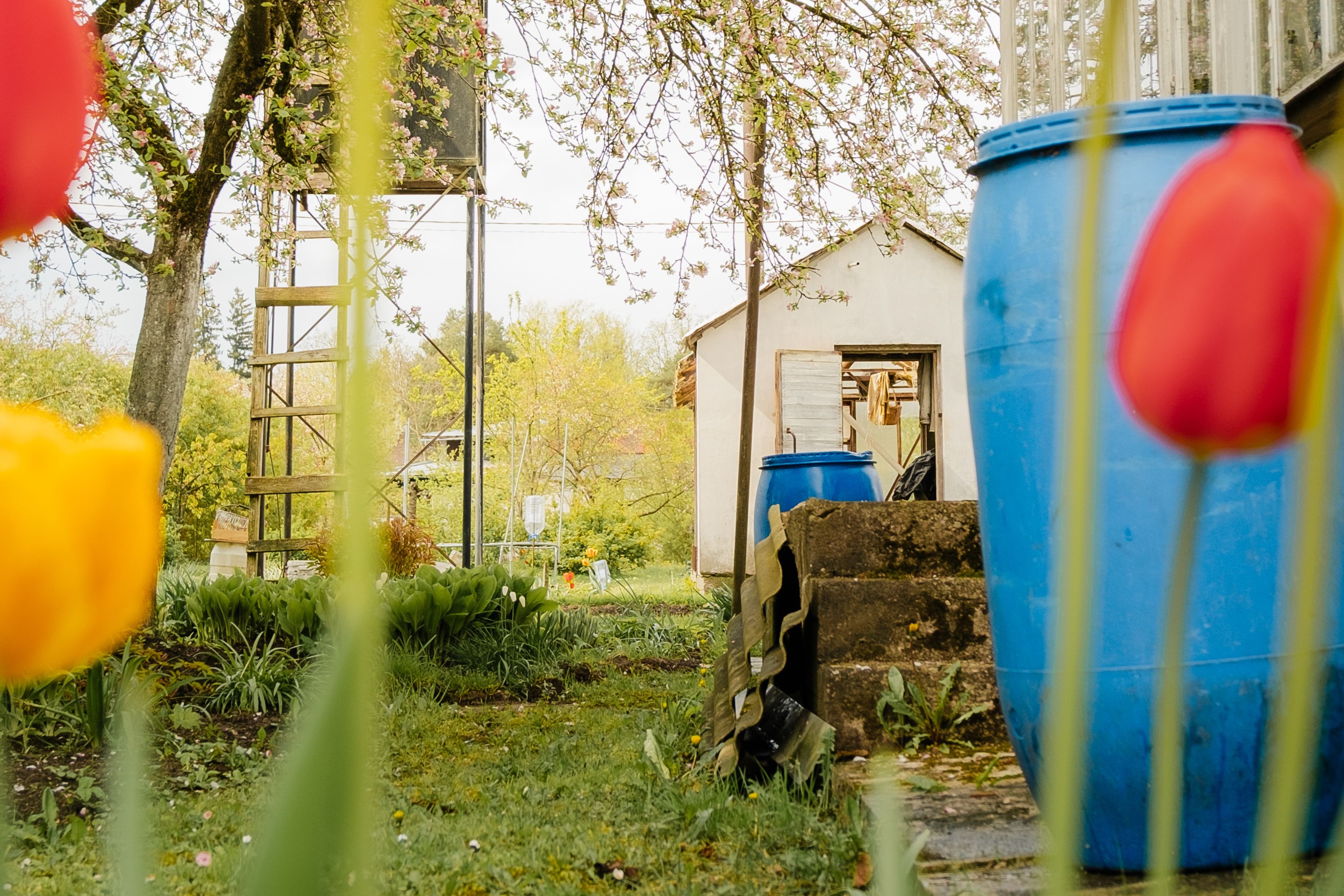 Dronten vraagt inwoners bewuster om te gaan met regenwater Dronten vraagt inwoners bewuster om te gaan met regenwater